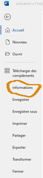 Historique des versions, sauvegarde dans le Cloud. Word, Excel, Word