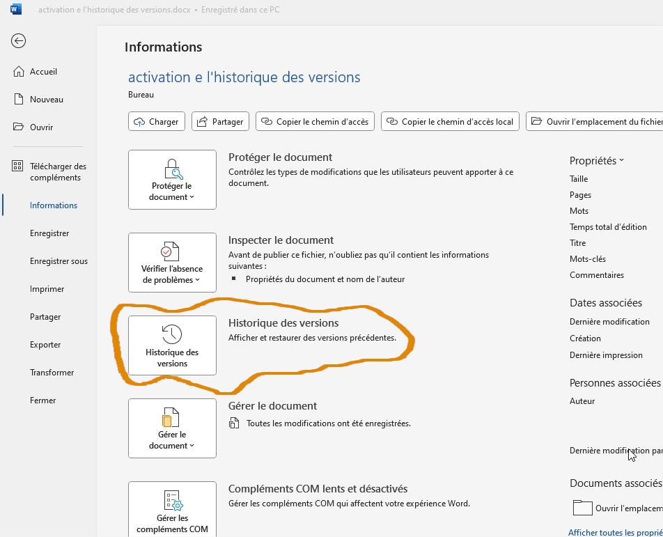 Historique des versions, sauvegarde dans le Cloud. Word, Excel, Word