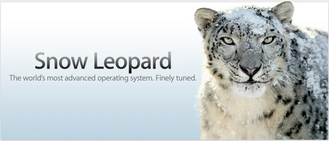Ordinateurs compatibles avec Mac OS X Snow Leopard (10.6)